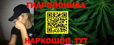 СК Обь