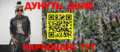 СК Обь