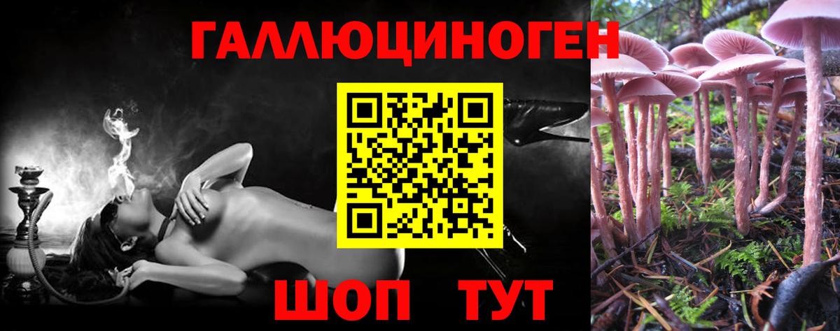 Самара  Галлюциногенные грибы Cubensis  Вход с VPN 
